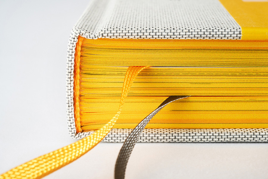 Jubiläumsbuch Typonauten